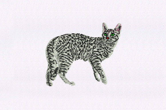 Black White Cat Design: A Boutique Sweatshirt Review