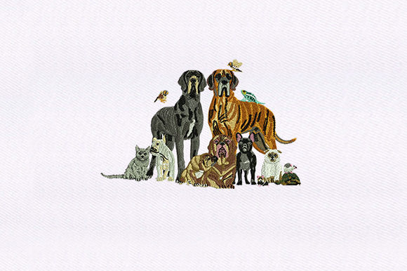 Pets with Cats Dogs: A Designer’s Review